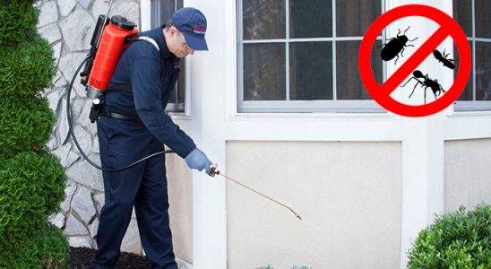 Halkapınar Dezenfeksiyon böcek ilaçlama ve haşere kontrolü — ilaclama-tr.com